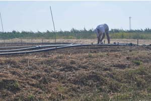 domaines agricoles